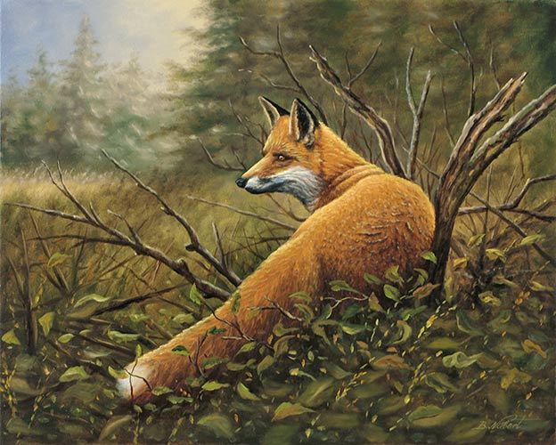 Fuchsbild Fuchsgemalde Sichernder Fuchs