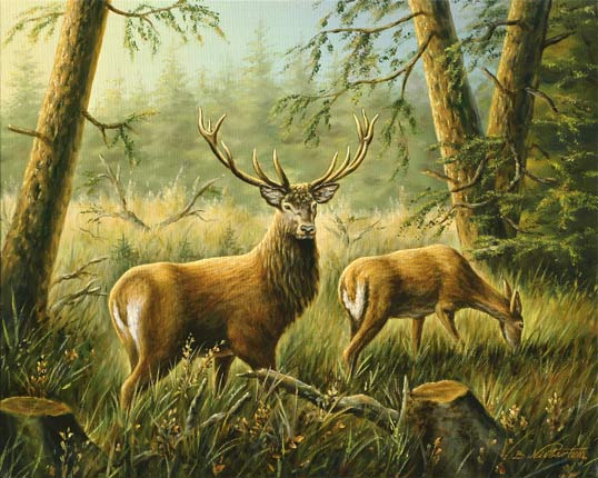 hirschaltt4050.jpg